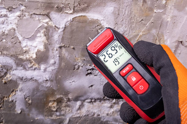 Best Water Damage Restoration  in Midway South, TX