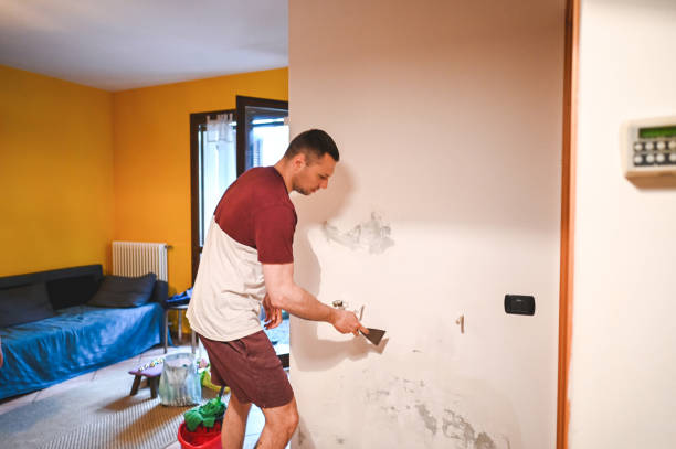 Best Toxic Mold Removal  in Midway South, TX