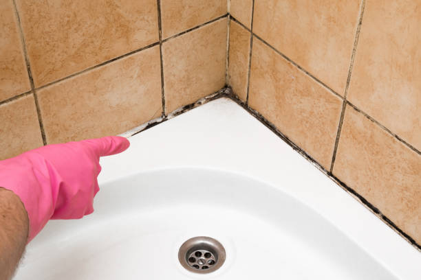 Best Mold Testing  in Midway South, TX